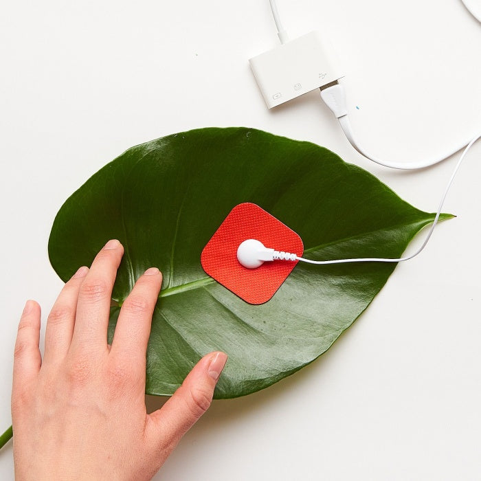 Products – Playtronica